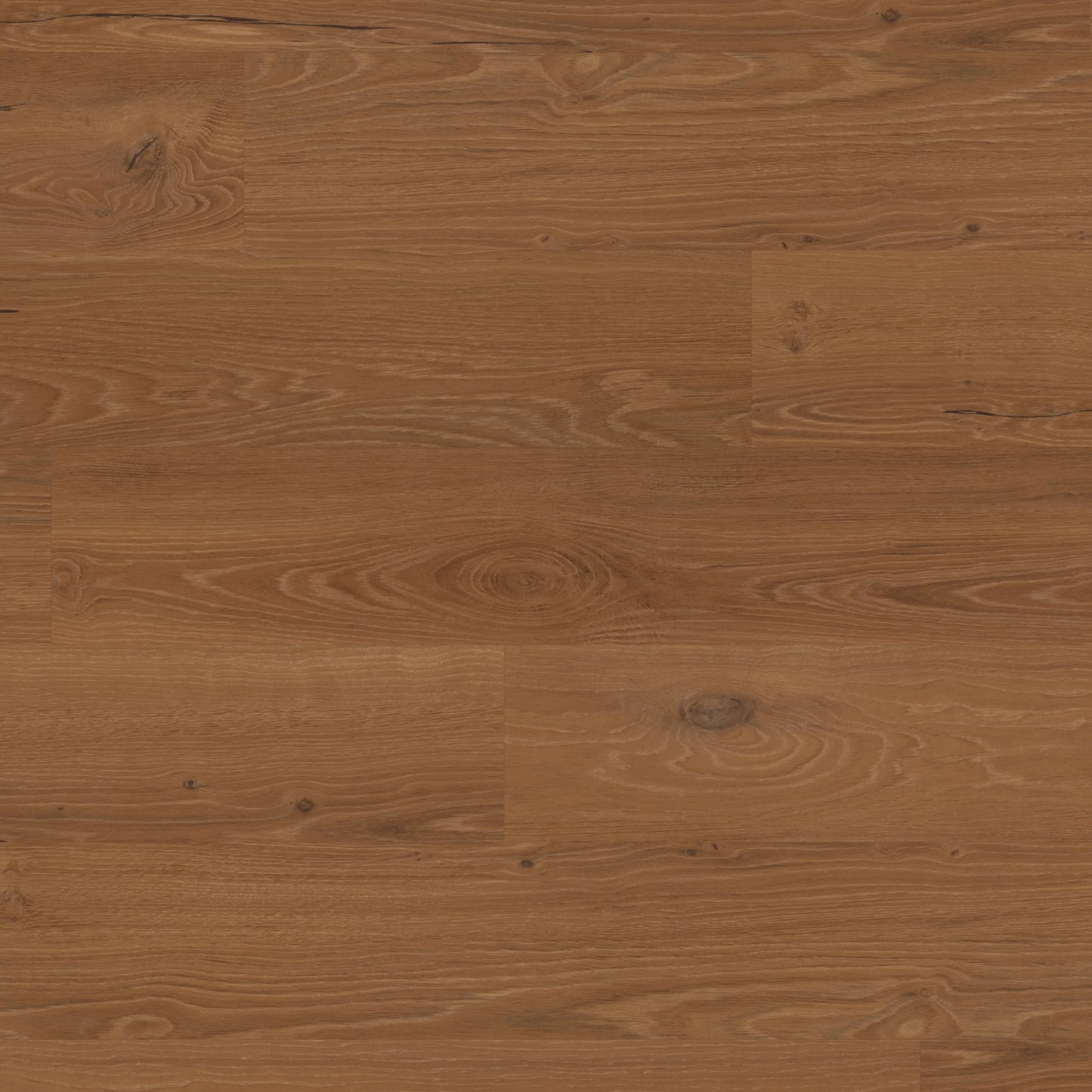 Karndean Palio - Bologna Oak