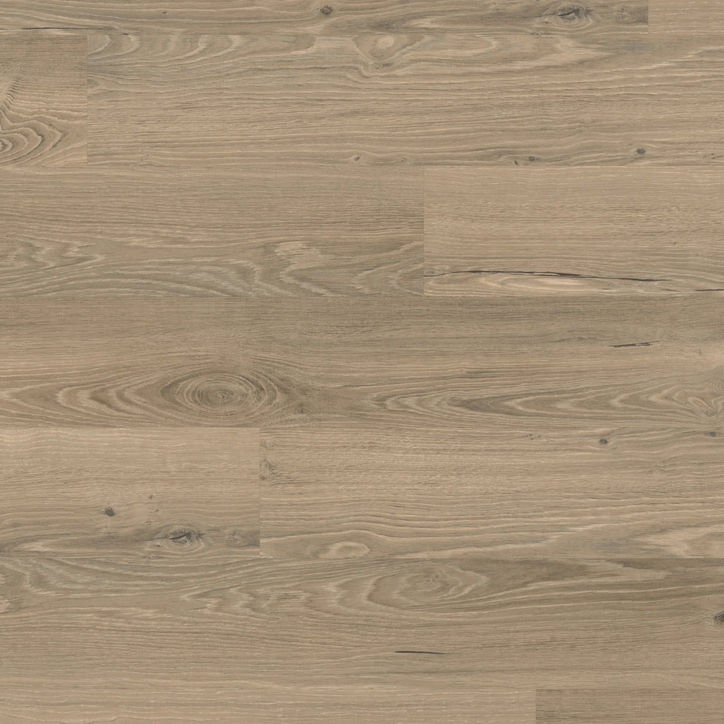 Karndean Palio - Ravenna Oak